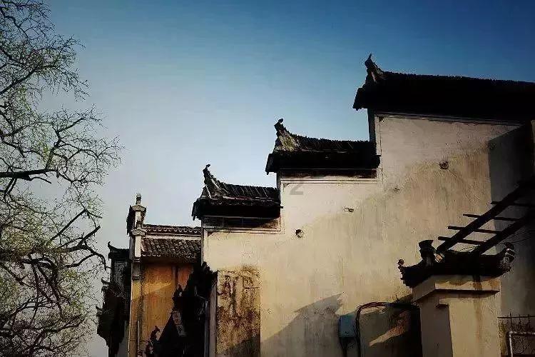 燃烧吧大脑免广告最新版